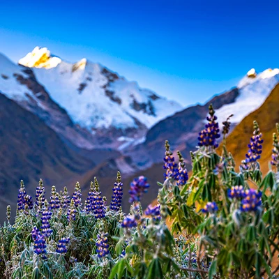 El mapa del color: 3 lugares m&aacute;gicos para disfrutar de la primavera en Per&uacute;